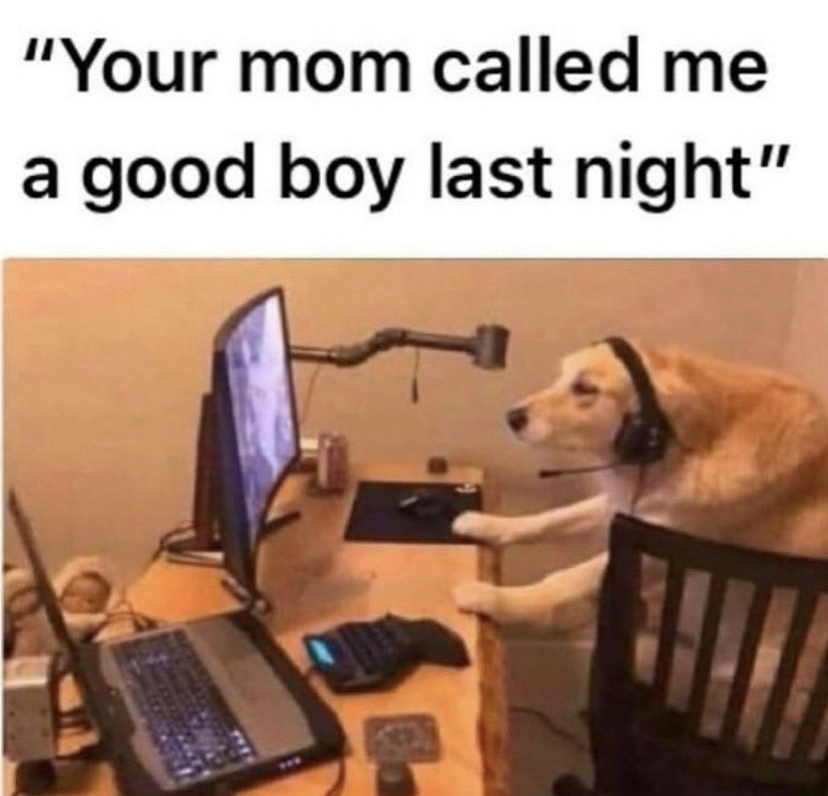good boy - meme