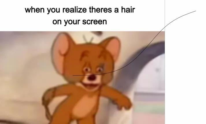 Did you think it was a real hair - meme