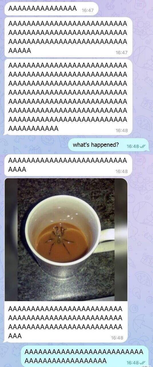 Disculpe, hay una araña en mi café - meme