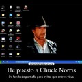 ¡¡Chuck norris protégeme!!