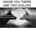 INSIDE YOU THERE ARE TWO WOLVES