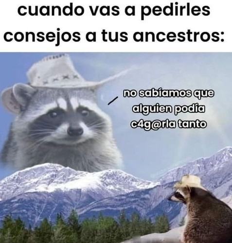 Top memes de Mapaches en español :) Memedroid