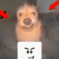 commented item thumbnail