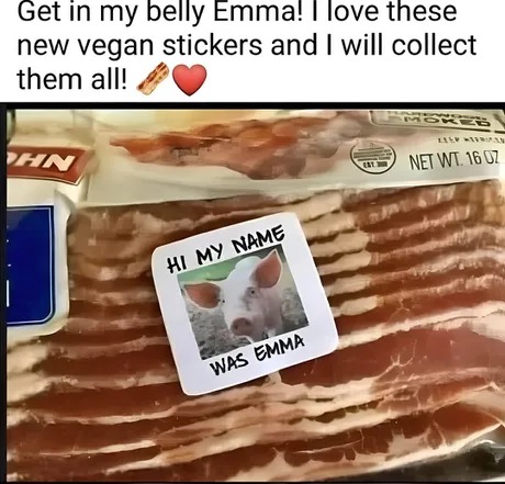 Pleased to meet you - meme