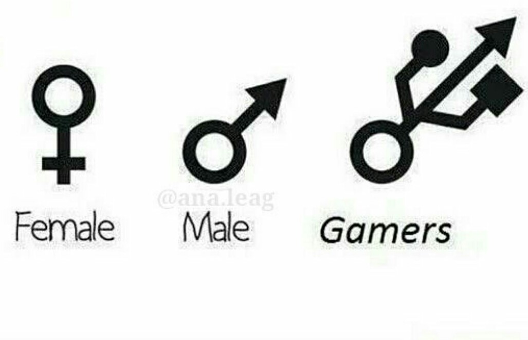 Gamers things - meme