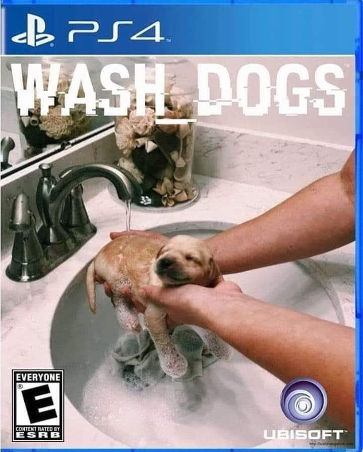 Why get watch dogs when you can have - meme