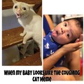 coughing cat accuracy