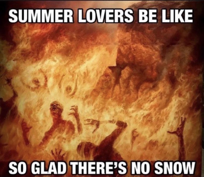 average summer fan - meme