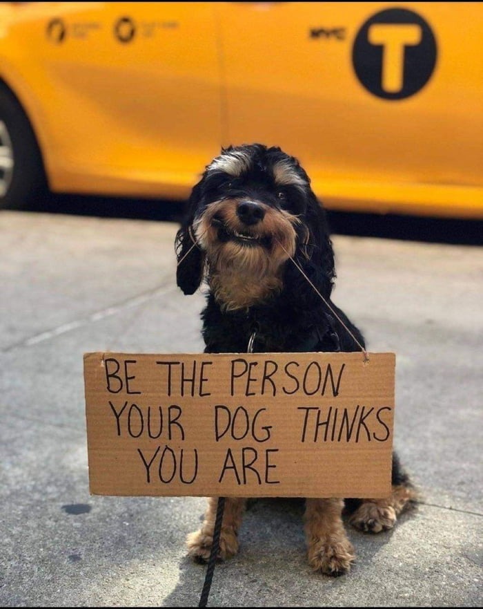 Be the person your dog thinks you are - meme