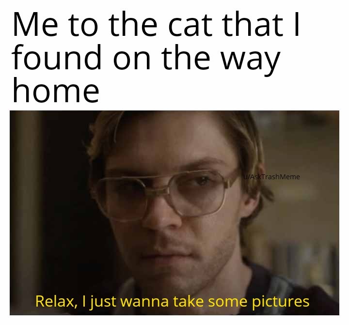 Funny cat memes