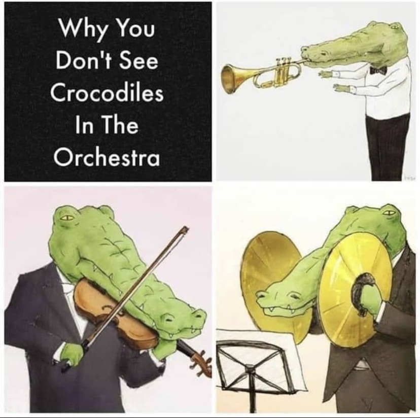 crocodile - meme