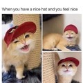Nice hat