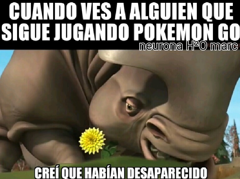 Tengo por fin marca de agua - meme