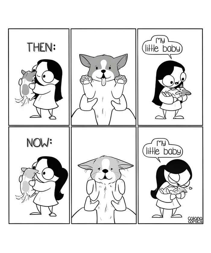 Plants are the new pets, pets are the new kids - meme