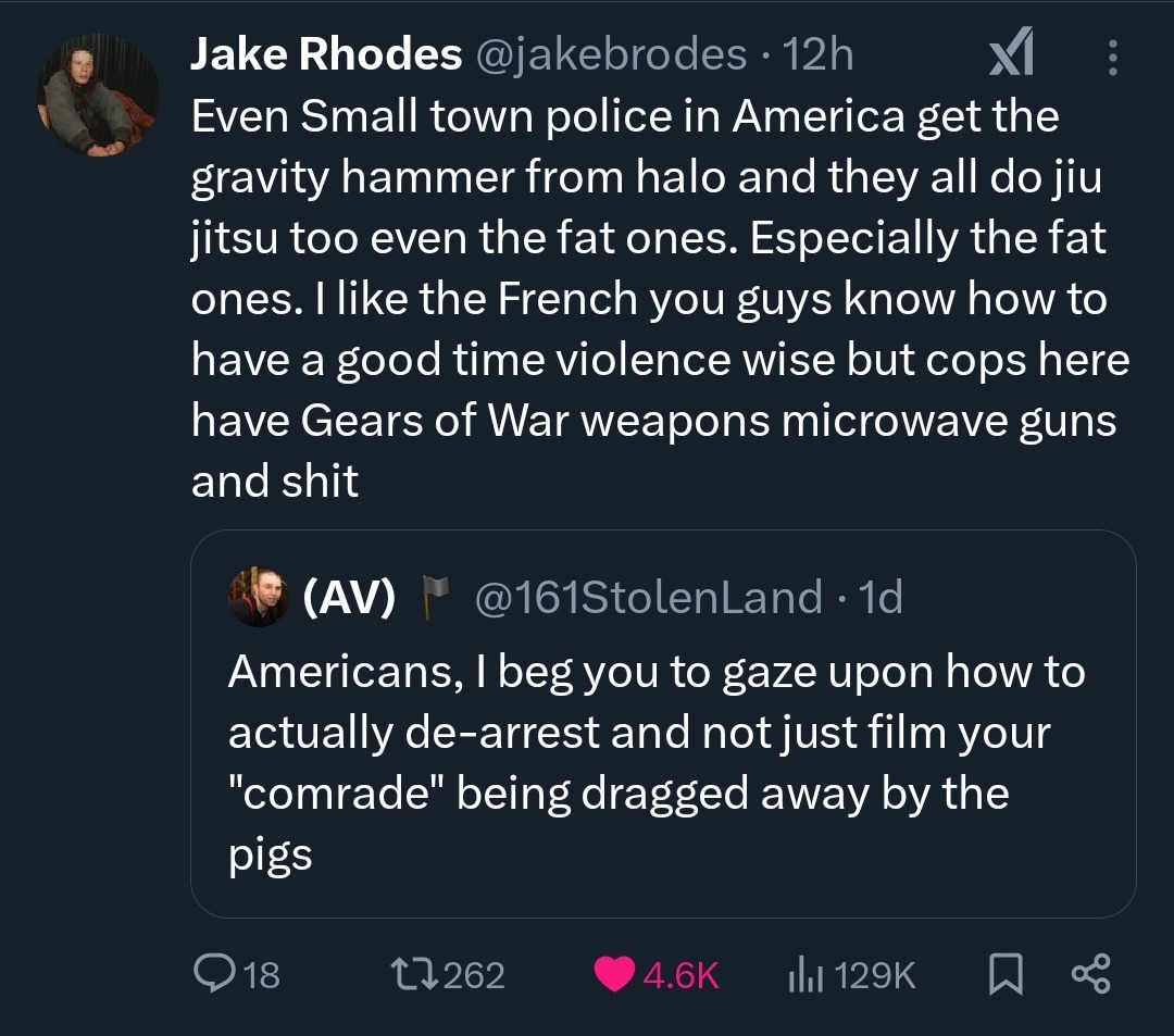 dongs in a cop - meme