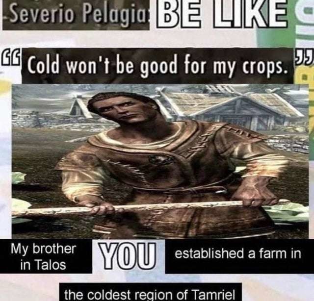 brother in talos you are a fool - meme