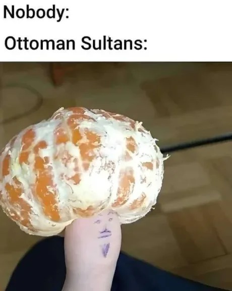 Ottoman sultans - meme