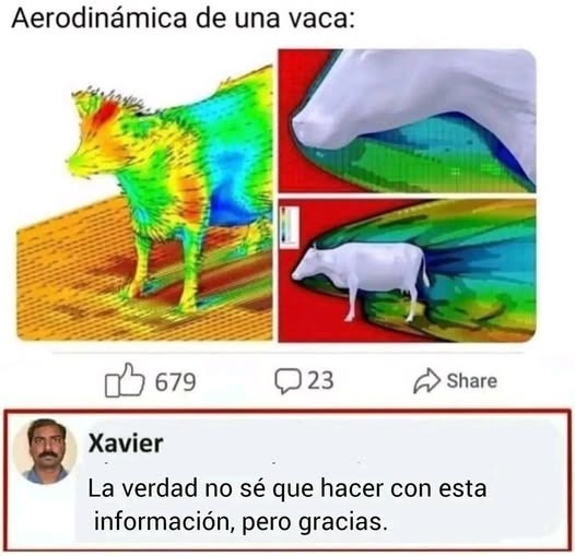 Xavier - meme