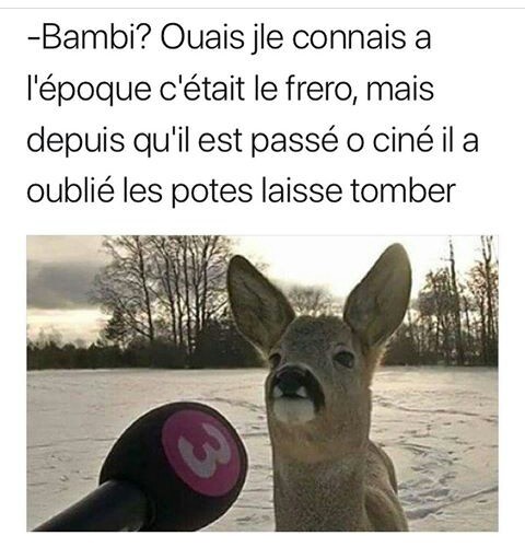 Asy bambi il a géchan - meme