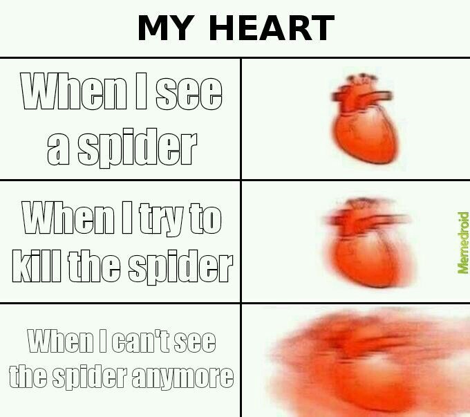 Spider bro - meme