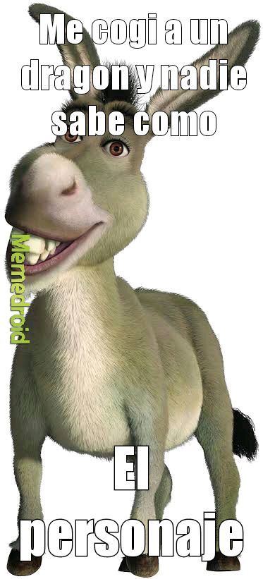 Burro - meme