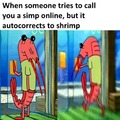 poor shrimp