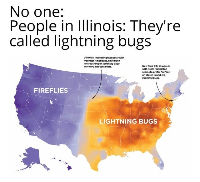 Fireflies or lightning bugs? - meme