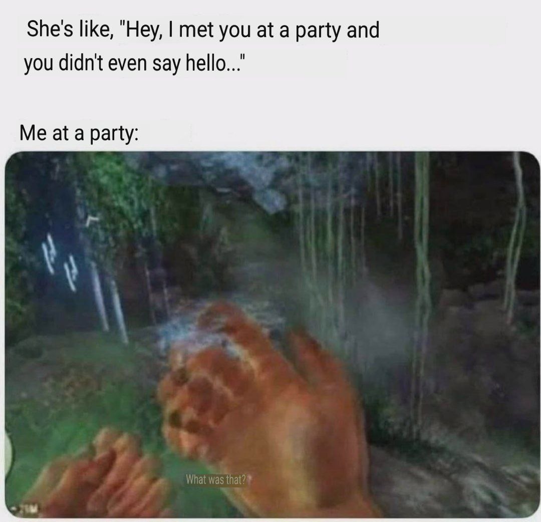 Party - meme