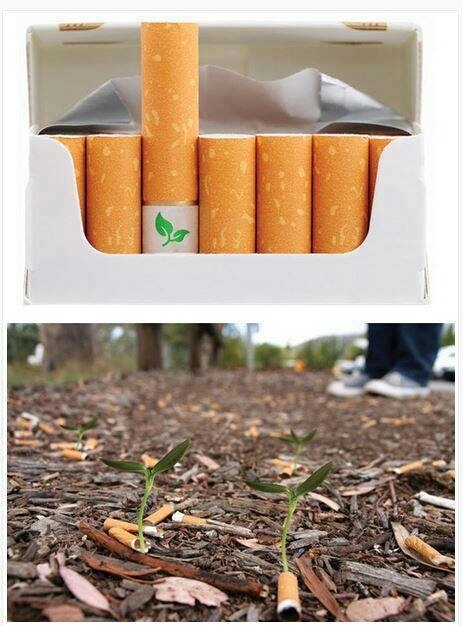 "cigarros biodegradáveis com sementes de flores no filtro" - meme
