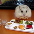 cutest lunch ever!