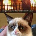 burn cat