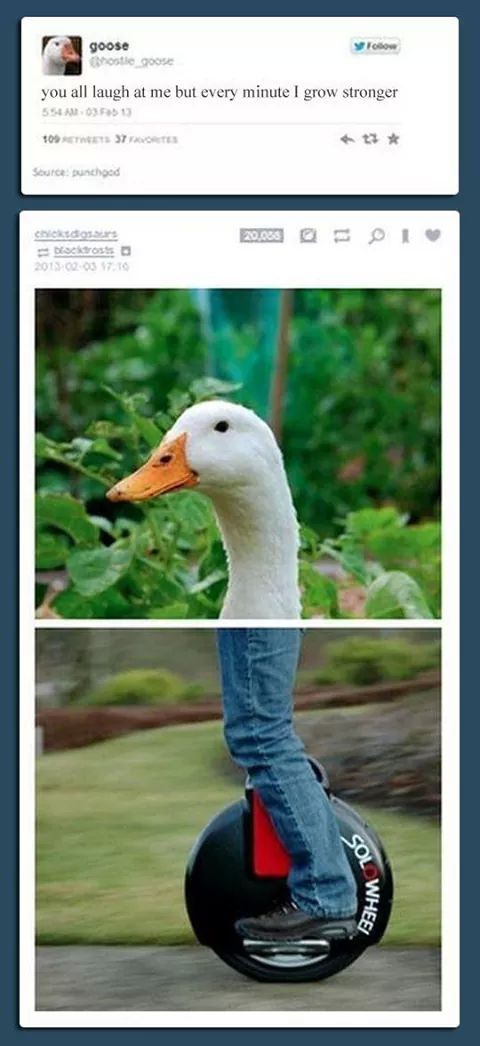 Goose is power - meme