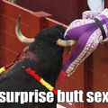 bull fighting is bad