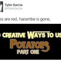 third comment changes their profile photo to harambe