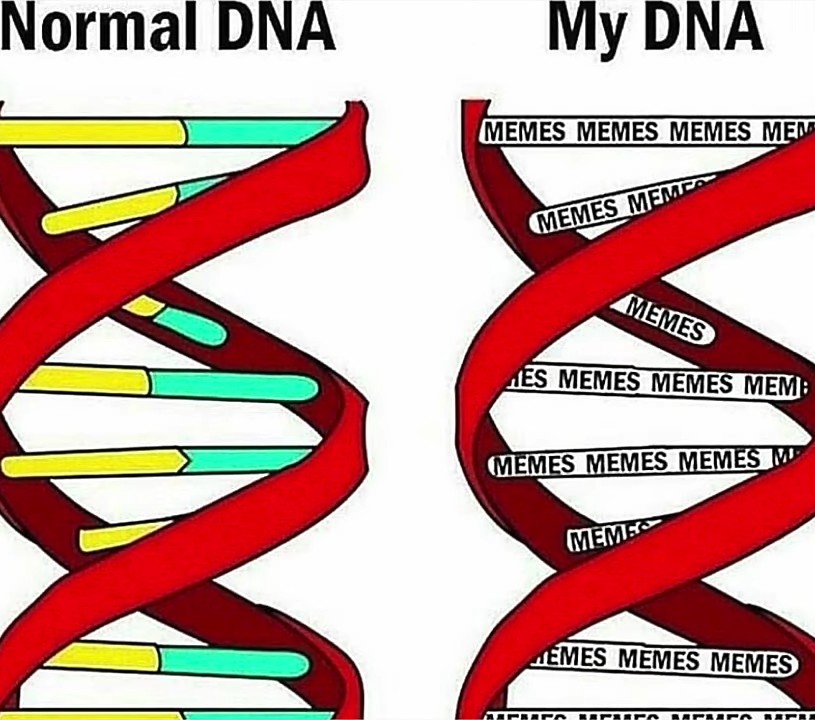 DNA - meme