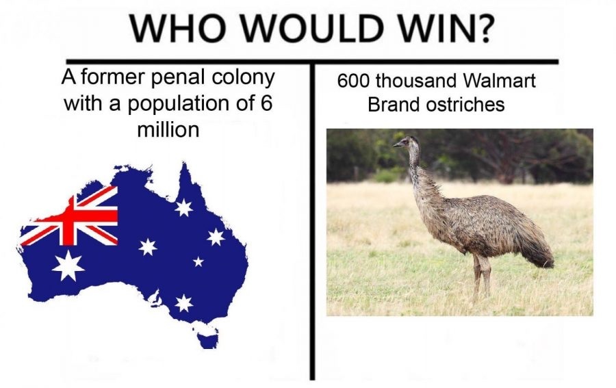 The Great Emu War was better than the Vietnam War - meme