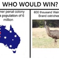 The Great Emu War was better than the Vietnam War