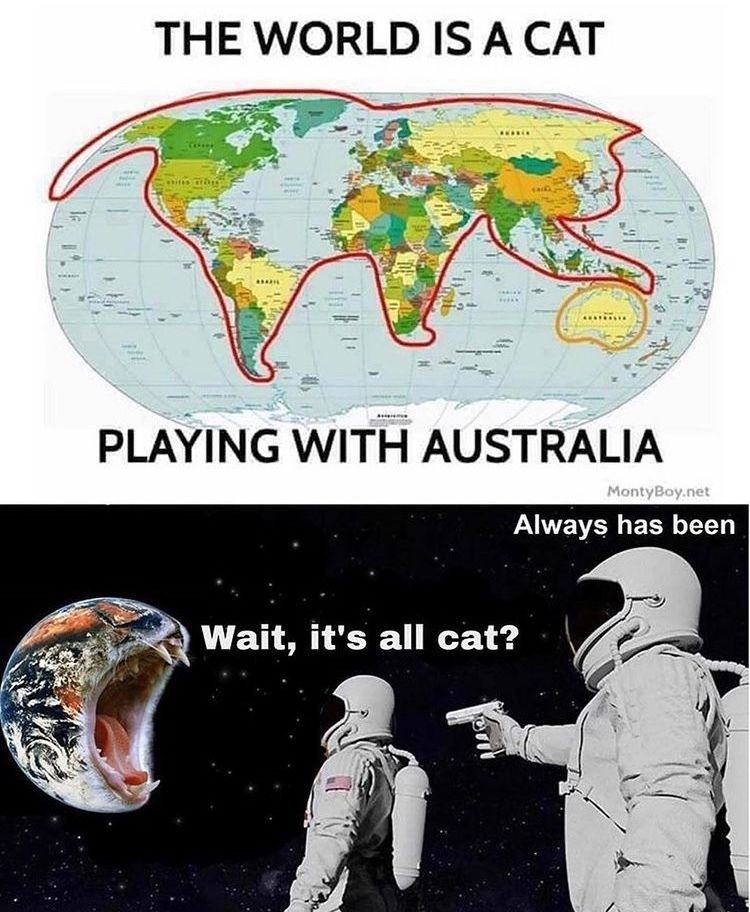 it was catto all along - meme