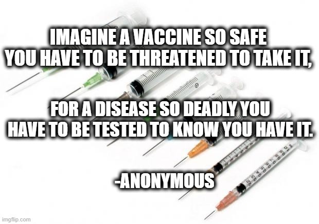 Covid-19 Vaccine (from image flip) - meme