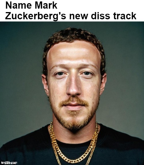 Name Mark Zuckerberg's new diss track - meme
