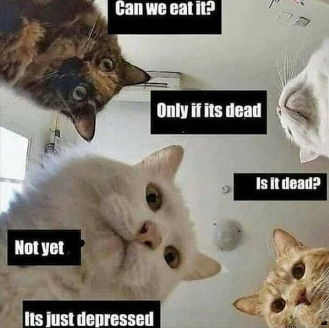 depressed - meme