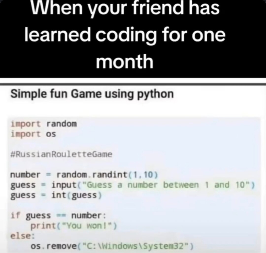 Learned Python for a month and deleted Windows - meme