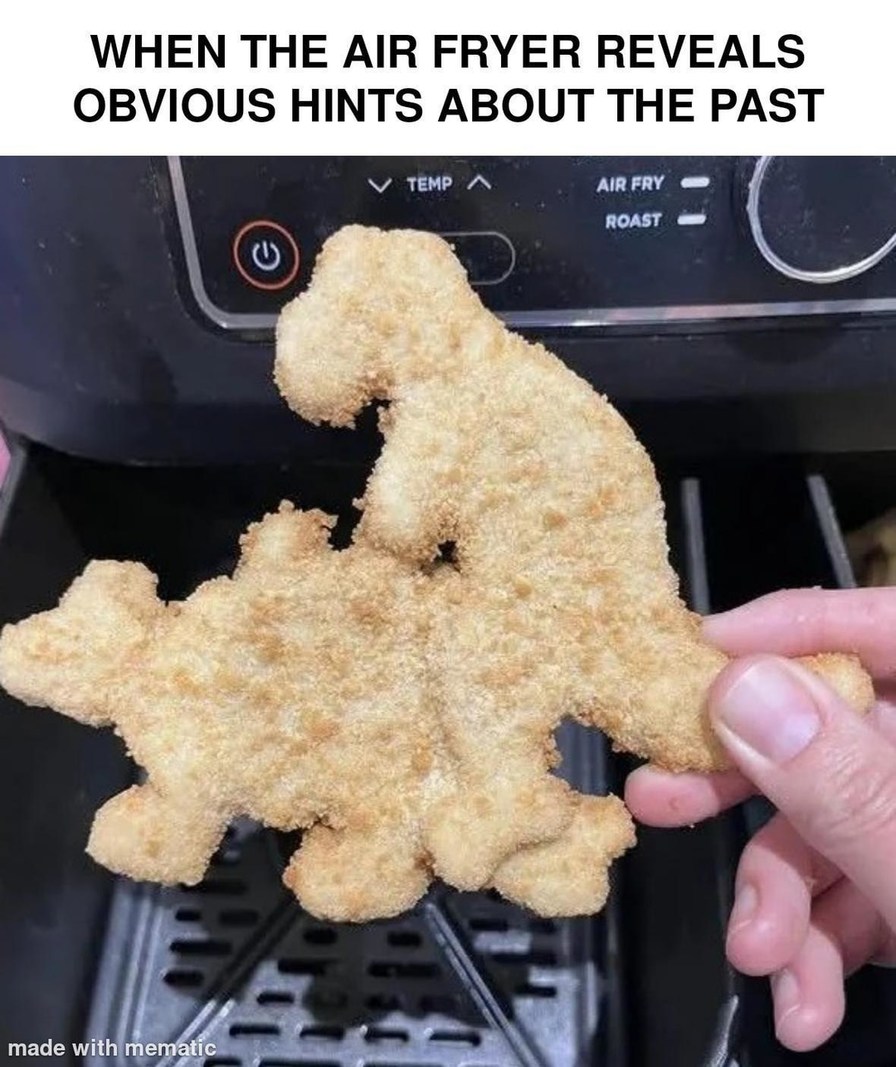 Air fryer revealing your culinary crimes - meme