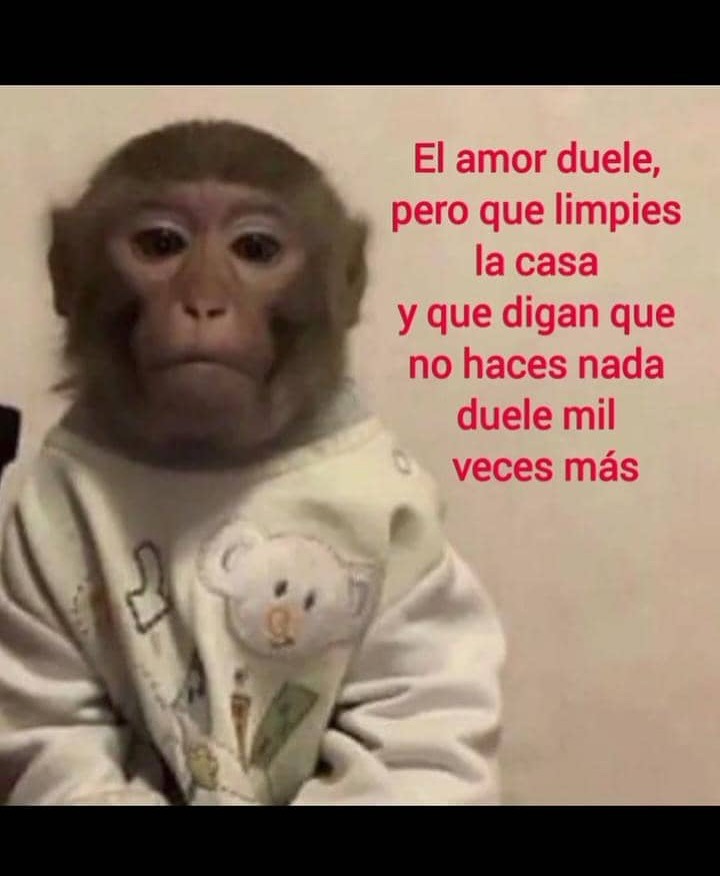 el amor duele pero que digan que no hiciste nada después de limpiar duele más - meme