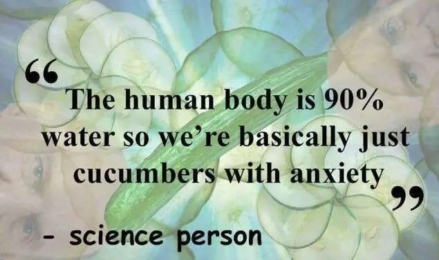 Humans are about %60 water actually - meme