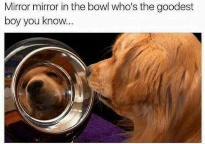 Who is the goodest? - meme