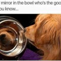 Who is the goodest?