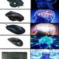 Different types of mouse