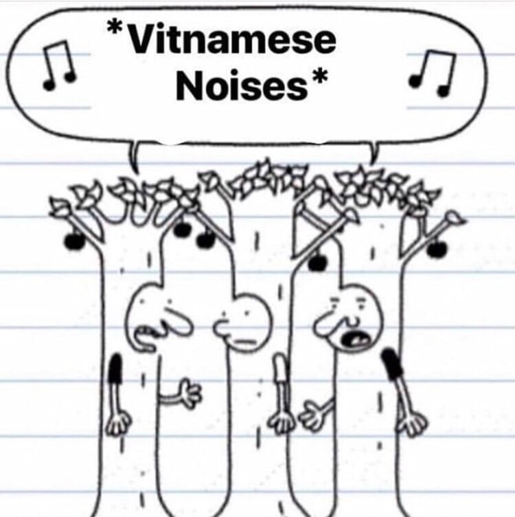 Viet cong Choir - meme