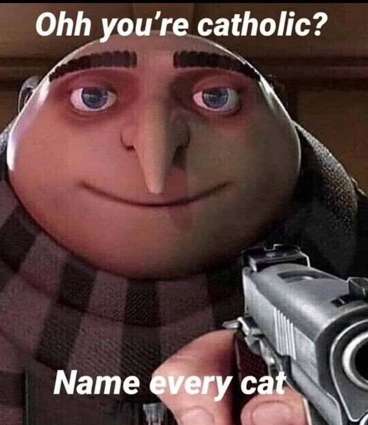 Are you cat holic? - meme